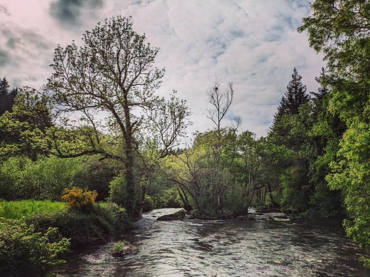 La Canopee Tonquédec Exteriér fotografie